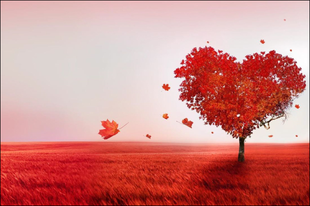 �o������߂Ă��鏗�q�吶